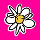 Daisylets icono