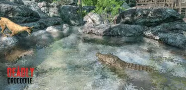 Animal Attack: Crocodile Games