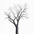 HEGEL'S FINE ART APK