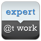 Expert at Work icono