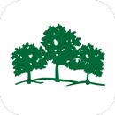 Maple Tree APK