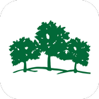 Maple Tree иконка