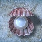 Sea Shell Game icon