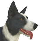 Sheep Dog Challenge icono