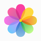 AI Gallery - Photos & Videos ไอคอน
