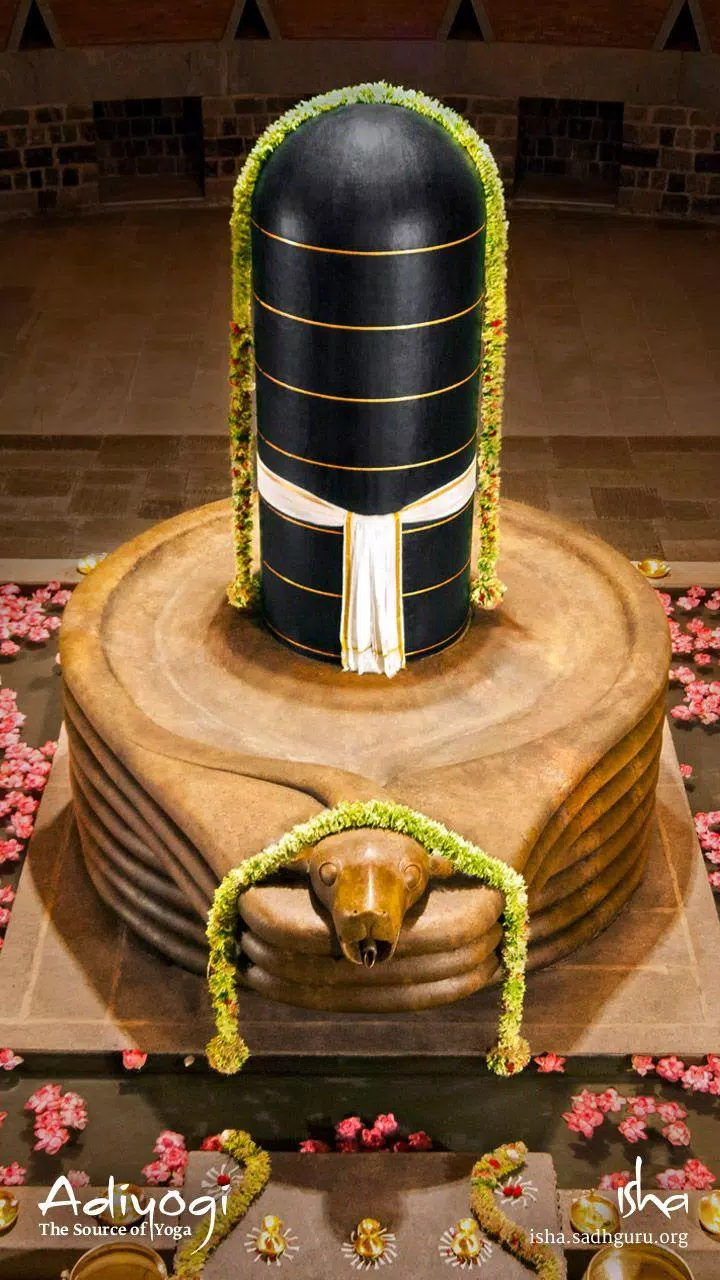 Shiv Lingam Video Status APK for Android Download