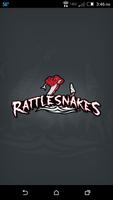 Rattlesnakes Affiche