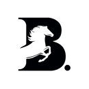 Black Point Recruitment APK