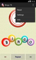 Bingo 75 Ekran Görüntüsü 2