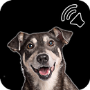 Dog Sounds APK