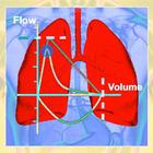 Pulmonary Function Test icon