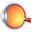 Retina Scanner