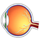 Retina Scanner APK