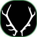 Pemburuan Rusa Whitetail APK