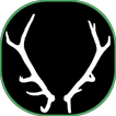 Whitetail 사슴 사냥