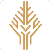 Mobiletop Brasil icon