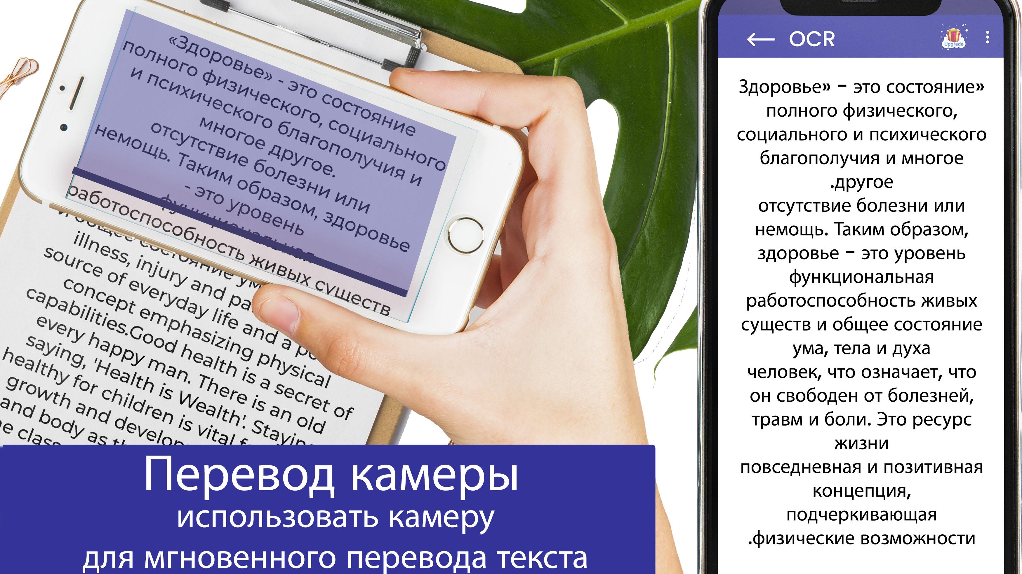 Отзыв перевод язык. Свободные переводчики. Перевод по голосу. Мгновенные переводы для физ лиц.