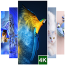 Cute Animal Wallpaper (4K Ultra HD) APK