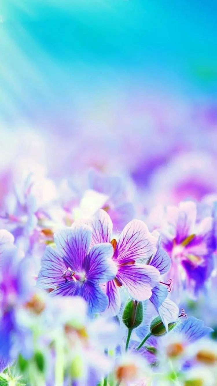 Flower Wallpaper (4K Ultra HD) APK for Android Download Flower Wallpaper (4K Ultra HD) APK for Android Download