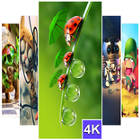 Funny Wallpaper (4K Ultra HD)