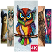 Owl Wallpaper (4K Ultra HD)