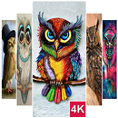 Owl Wallpaper (4K Ultra HD) APK
