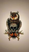 Owl Wallpaper (4K Ultra HD) پوسٹر