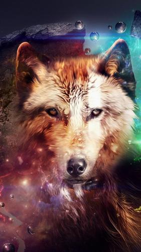 Wolf Wallpaper 4k Ultra Hd For Android Apk Download