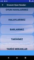 Erzurum Oyun Havaları poster