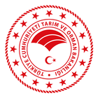 Ava Memur icon
