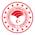 Ava Avcı