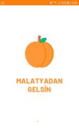 Malatyadan Gelsin poster