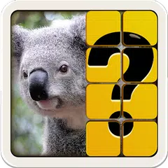 Guess The Picture APK download