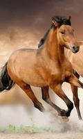Animals 截图 3