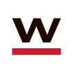WINK News 圖標
