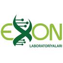 Exon Lab APK