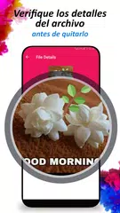 Descargar XAPK de Eliminador archivos duplicados