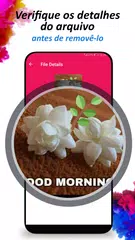 Baixar Removedor arquivos duplicados XAPK