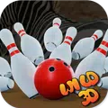 3D Bowling With Wild