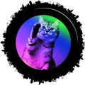 TalkCat