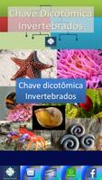 Chave Dicotômica Invertebrados Affiche