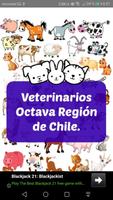 Veterinarios 8va región 海报