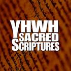 YHWH Sacred Scriptures icône