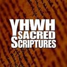 YHWH Sacred Scriptures icon