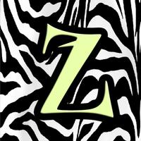 Zebra Affiche