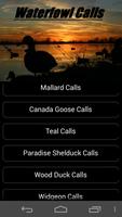 Waterfowl Calls ポスター