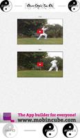 Tai Chi 18 Form 截图 1