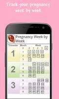 Pregnancy Week by Week Affiche