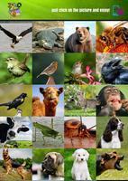 Instant Zoo Sounds تصوير الشاشة 1