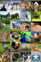Instant Zoo Sounds تصوير الشاشة 2